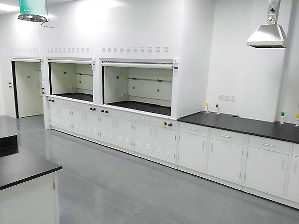 生物醫(yī)藥實驗室工程